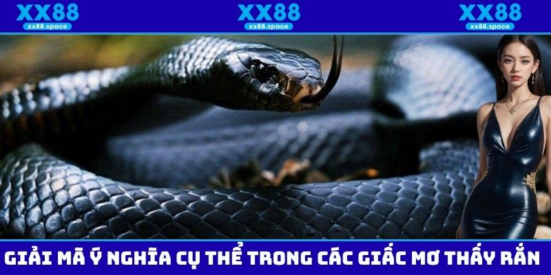 Giải mã ý nghĩa cụ thể trong các loại giấc chiêm bao thấy rắn