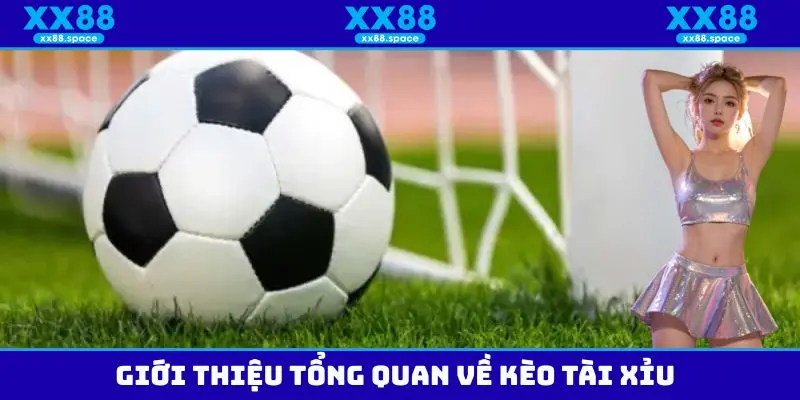 Một vài thông tin tổng quan cần biết về loại hình kèo tài xỉu